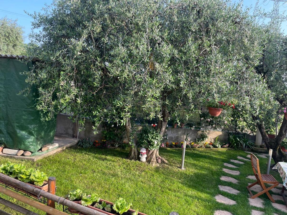 Casa Vacanze Collina Del Lago Pastrengo Exteriör bild
